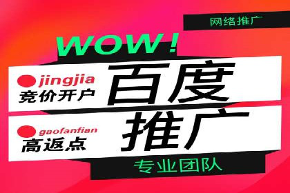 SEM竞价代运营案例：提升广告效果的关键策略